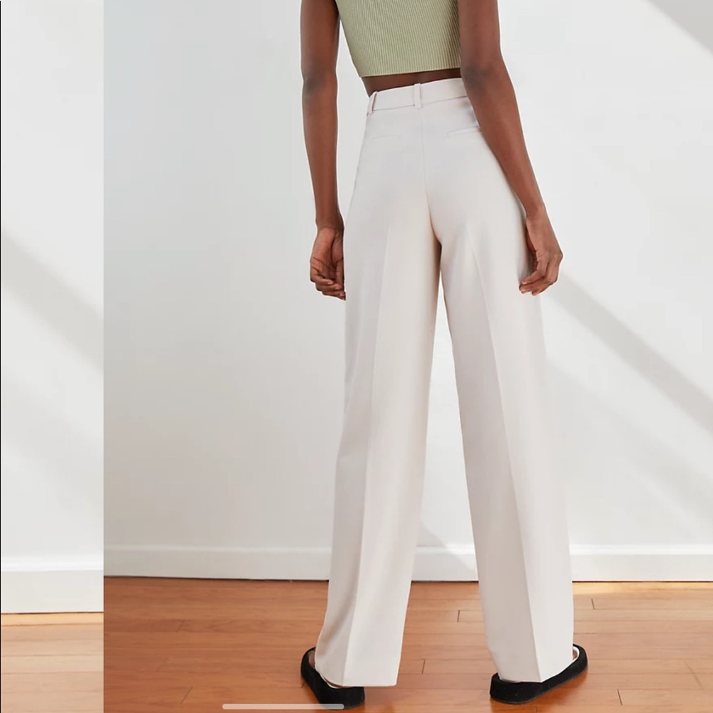 Aritzia Babaton Pleated Pants